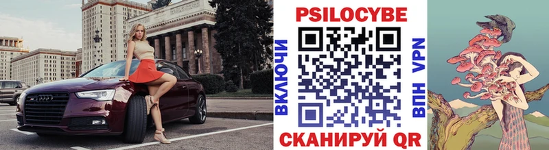 дарнет шоп  Алексеевка  Псилоцибиновые грибы Psilocybe 